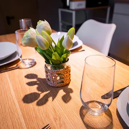 Moderne Stadtwohnung An Der Fussgaengerzone, Smart Tv, Kingsize-bett, Couch, Kueche Apartmán Pasov